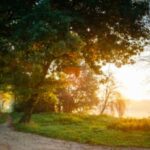 The Day My Dad Went To Prison