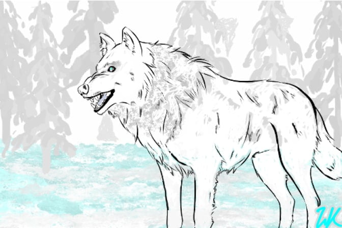Wolf