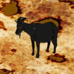 Showdown at the Black Goat Corral