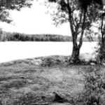 Timo’s Ale Hall Playlist #1