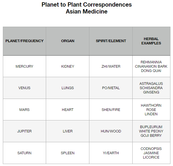 Plants & Planets – A Bridging Of Worlds Part 2