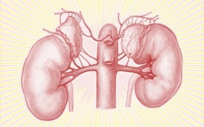 QiGong with Cody #1 – Kidney Power