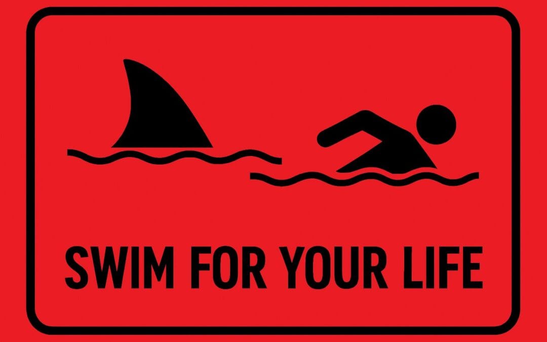 The Pitch #1 SaltLanes Swim Gym