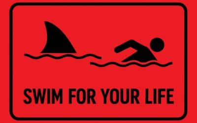 The Pitch #1 SaltLanes Swim Gym